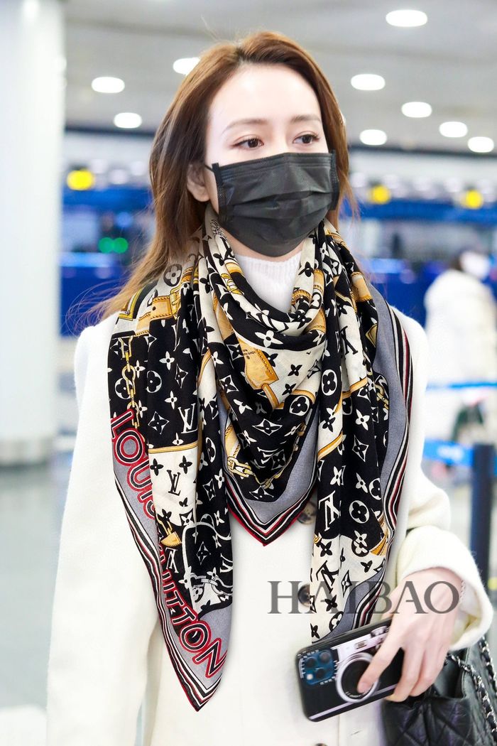 Louis Vuitton Scarf LV00124